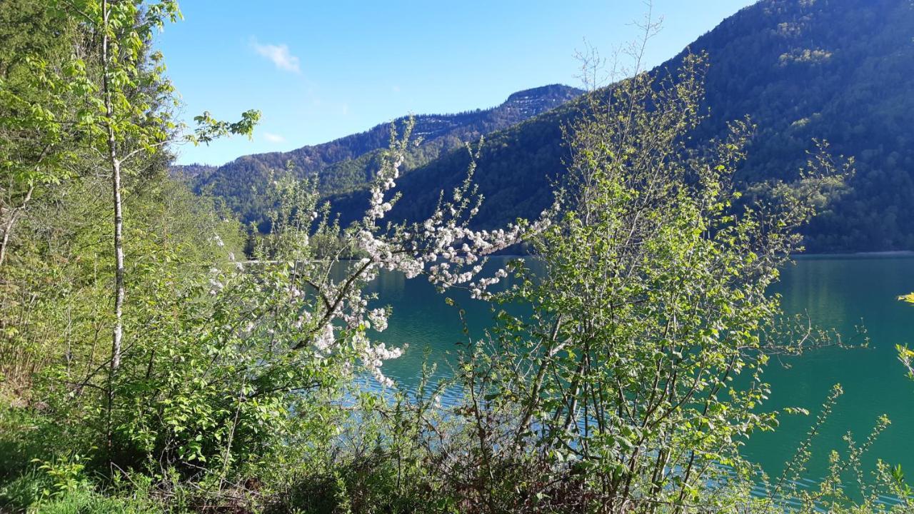 Villa Jaegerhaus à Hintersee Extérieur photo