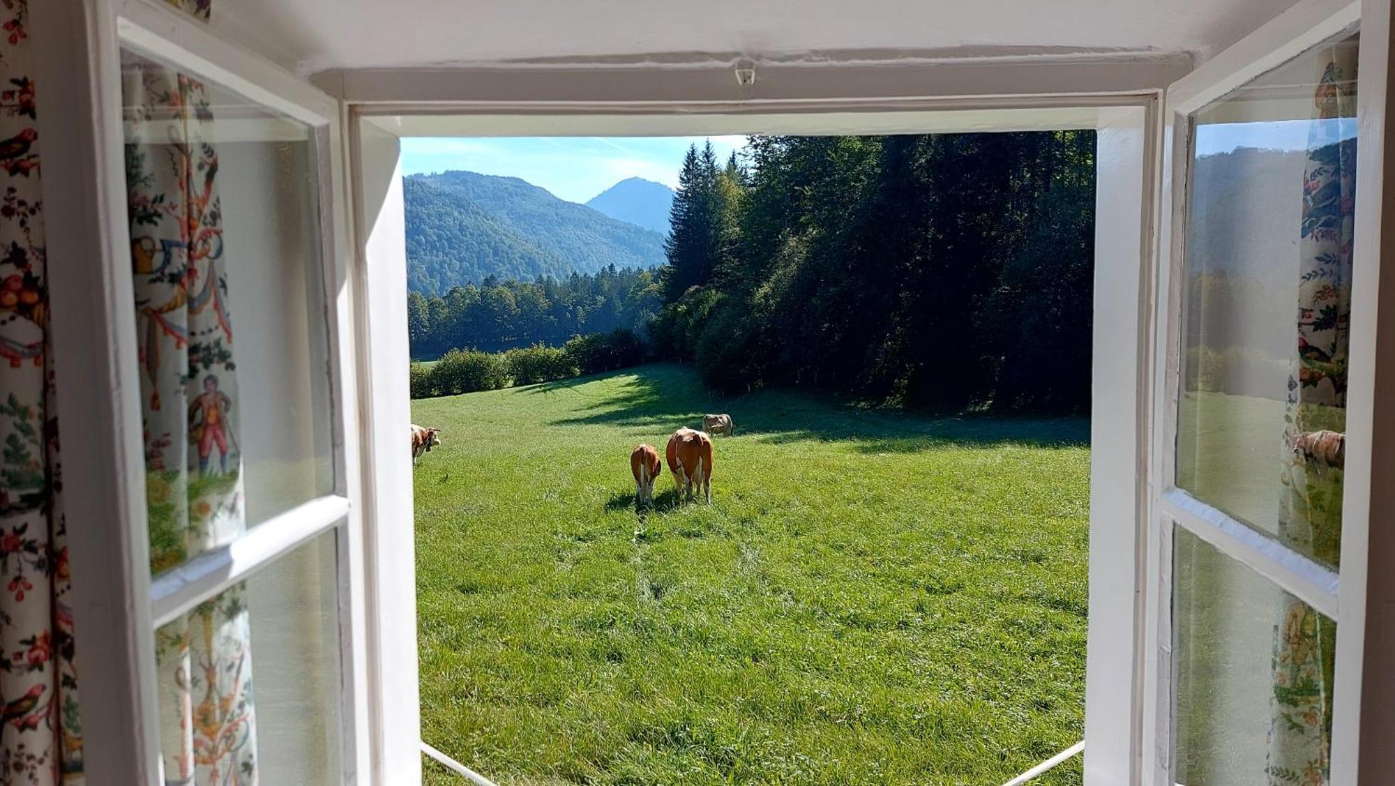 Villa Jaegerhaus à Hintersee Extérieur photo