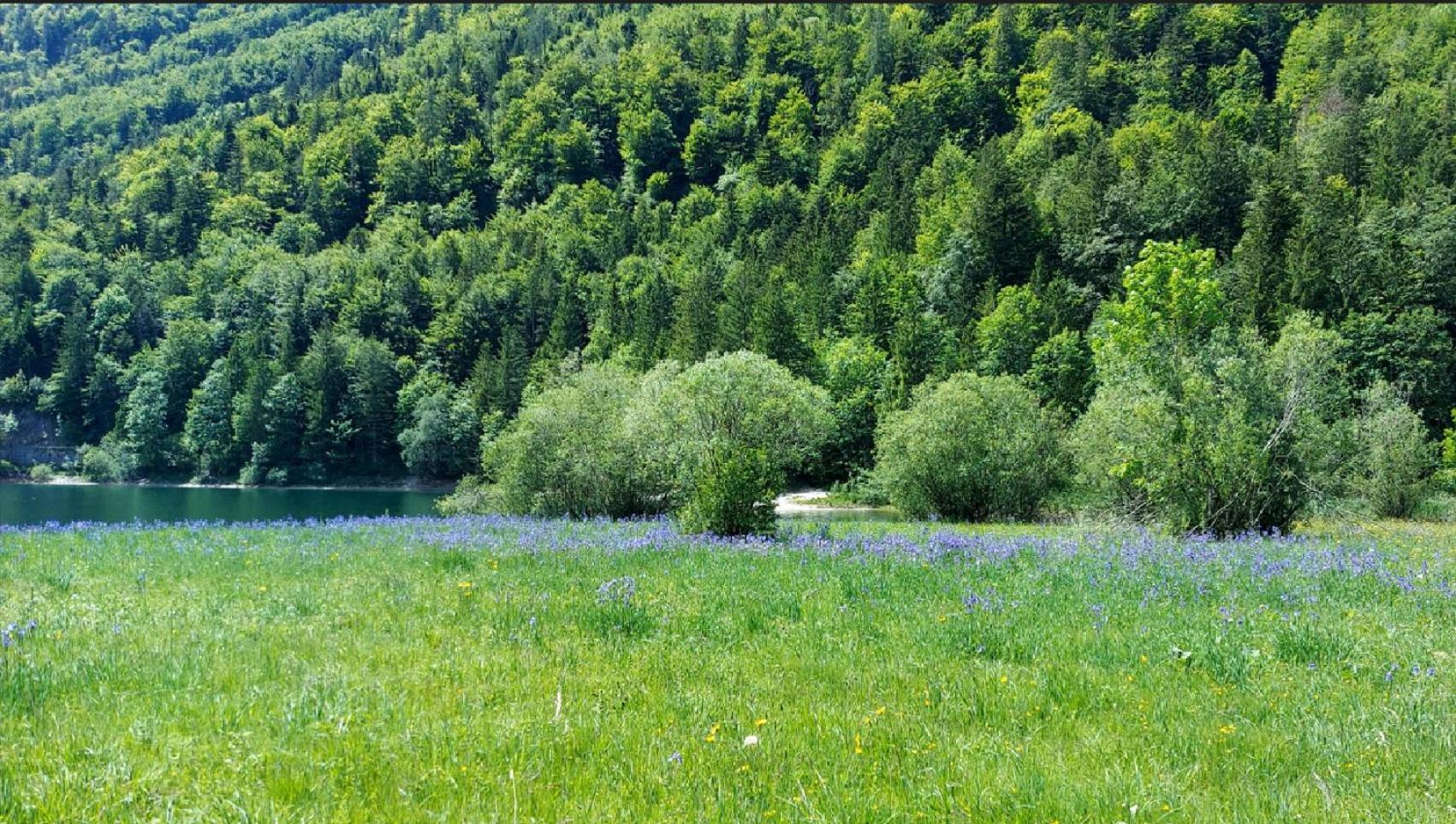 Villa Jaegerhaus à Hintersee Extérieur photo